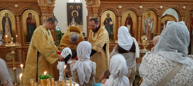 Неделя 4-я по Пятидесятнице